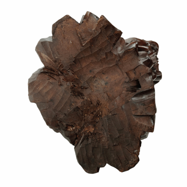 Scultura in legno teak di un Saggio - 1890 circa, Cina - immagine 19