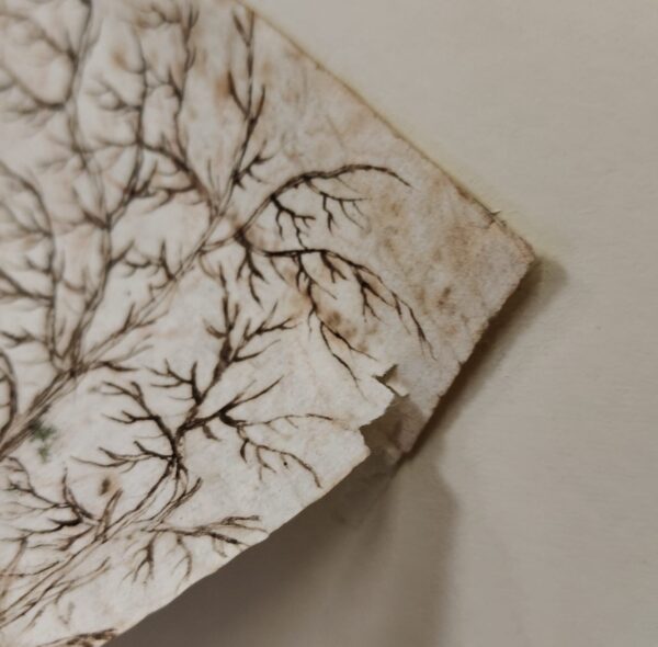 Disegno a china di un paesaggio olandese - 1680, Olanda - immagine 6
